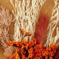 MIA Decorazioni Secche Arancione|CASA Best