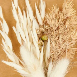 MIA Decorazioni Secche Beige|CASA Online