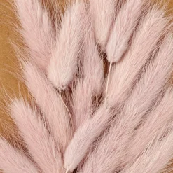 MINA Deco Essiccata Rosa|CASA Outlet