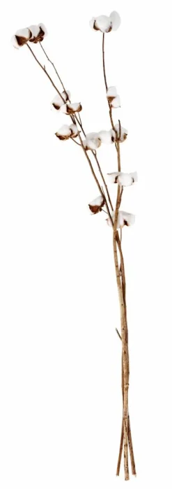 MONTANA Vaso Sabbia|CASA Sale