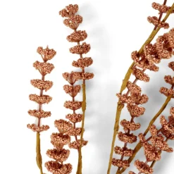 MOTHERWORT Rametto Erbe Rosa|CASA Clearance