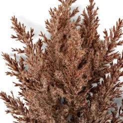 ODON Vaso Marrone|CASA Best