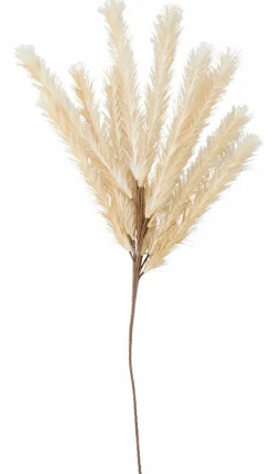 PAMPLONA Vaso Crema|CASA Online