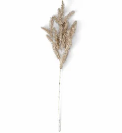 PINE Fungo|CASA Best