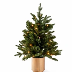 PINUS Ramoscello Natalizio Rosso, Verde|CASA Sale