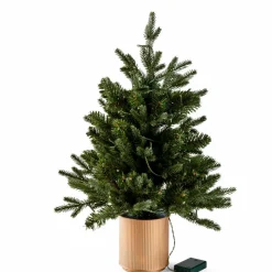 PINUS Ramoscello Natalizio Rosso, Verde|CASA Sale