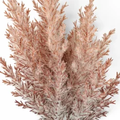 PLUME Pennacchi Decorativi Marrone Chiaro|CASA Outlet