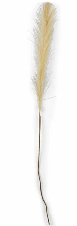 PLUME Pennacchi Decorativi Marrone Chiaro|CASA Outlet