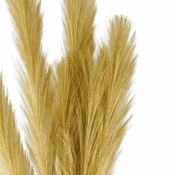 PLUME Pennacchi Decorativi Marrone Chiaro|CASA Outlet