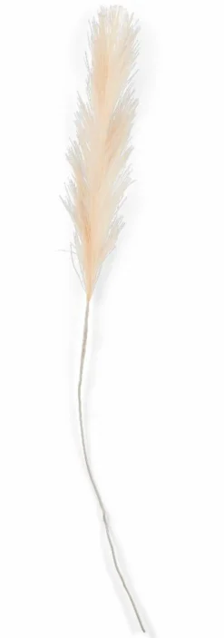 PLUME Pennacchi Decorativi Marrone Chiaro|CASA Outlet