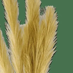 PLUME Pennacchi Decorativi Verde|CASA Clearance