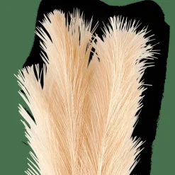 PLUME Pennacchi Decorativi Crema|CASA Outlet