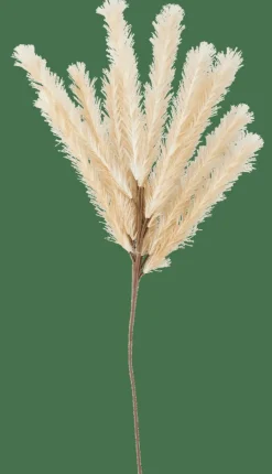 PLUME Pennacchio Artificiale Beige|CASA Outlet