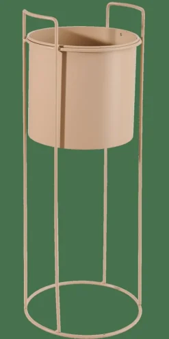 PLUTO Crema|CASA Clearance