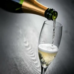 PREMIUM Flûte 26 CL|CASA Discount