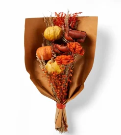 PUMPI Candela Beige|CASA Online