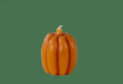 PUMPKIN Candela Marrone|CASA Best