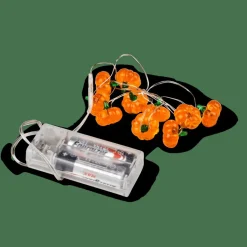 PUMPKIN Filo Luminoso Arancione|CASA Online