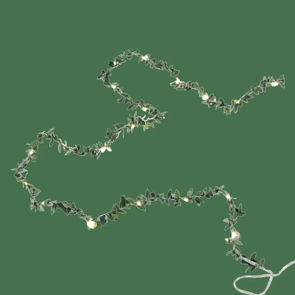 RIKA Filo Luminoso 20 Leds Verde|CASA