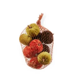 SINA Vaso Multicolore|CASA Clearance