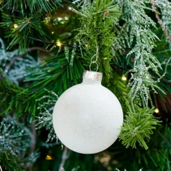 WHITE Ramo D'eucalipto Bianco|CASA New